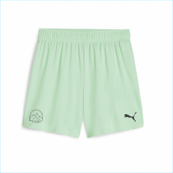 teamGoal Shorts