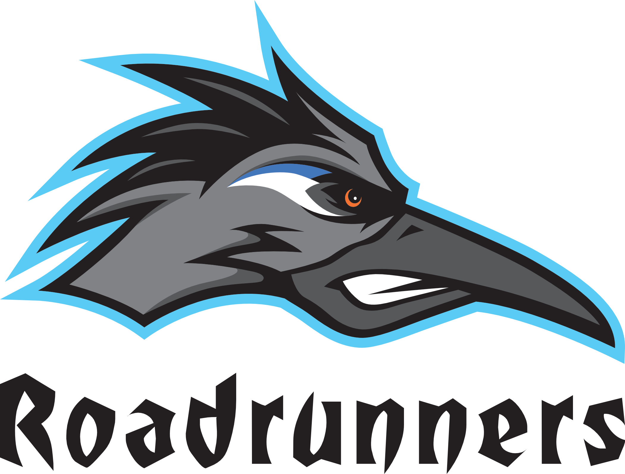 RRV Bad Friedrichshall Roadrunners